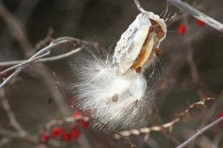 Worship Photo 9
