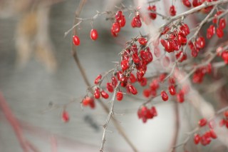 Worship Photo 10