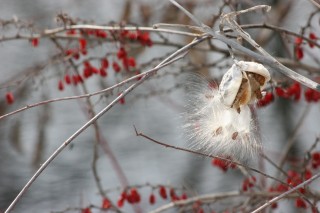 Worship Photo 11