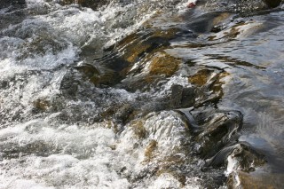 Worship Photo 12