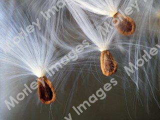 Worship Photo 3