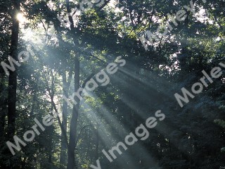 Worship Photo 8