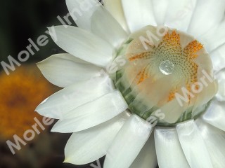 Worship Photo 17