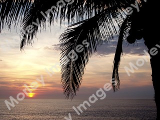 Worship Photo 21