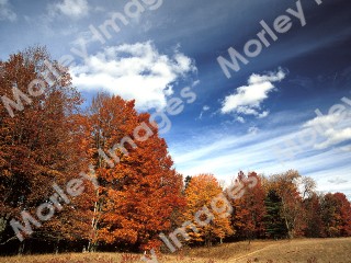 Worship Photo 23