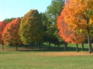 Fall Movie 02