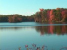Fall Movie 04