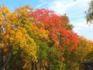 Fall Movie 09